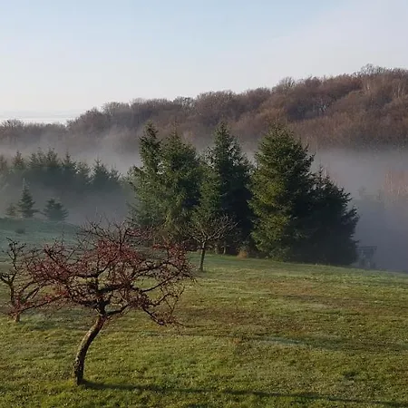 Podskalanski Lejlighed Szyce