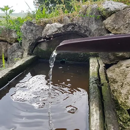 Podskalanski Lejlighed *