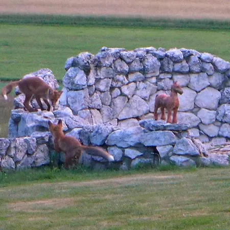 Lejlighed Podskalanski