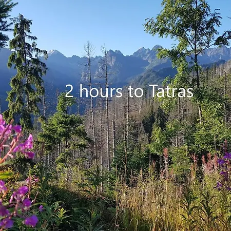 Lejlighed Podskalanski *