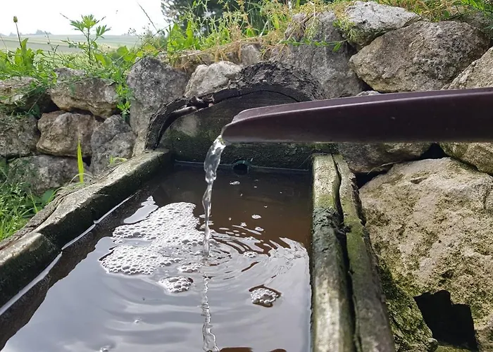 Podskalanski شقة *